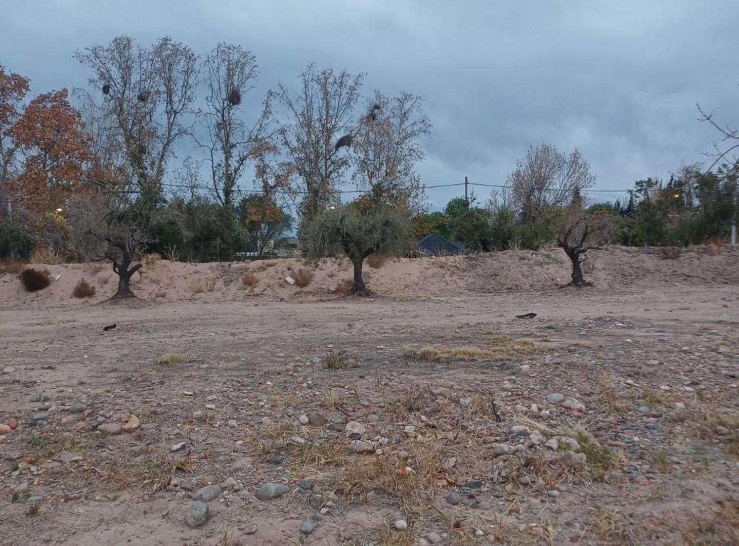 Foto de AMPROS VIII, LOTE EN VENTA. VIDELA ARANDA MAIPU, imagen 1