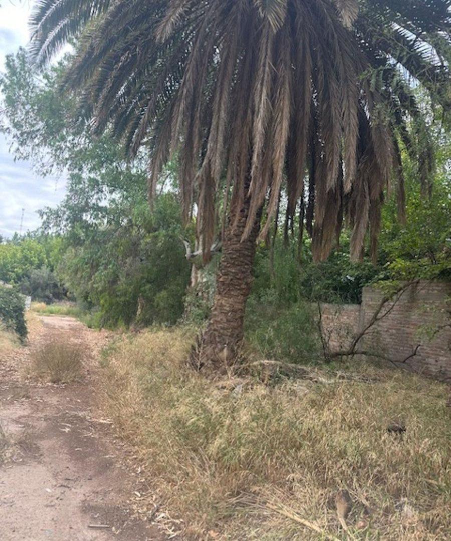 Foto de LOTE PREMIUM EN CHACRAS DE CORIA, imagen 4