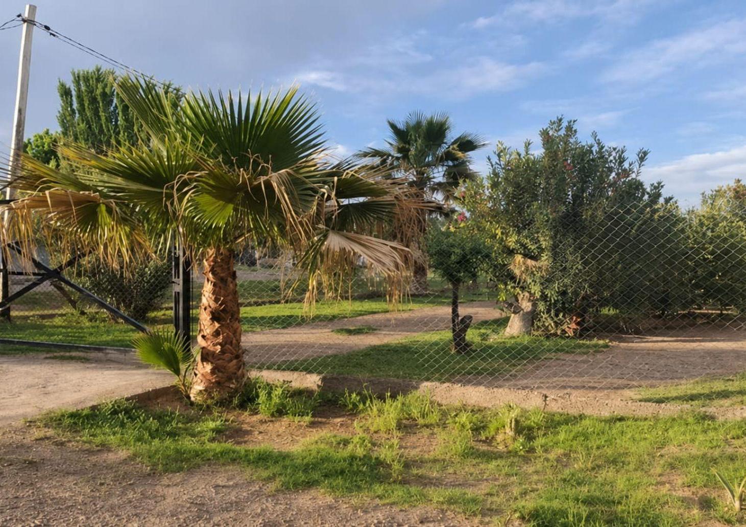 Foto de VENTA DE LOTE EN CORRALITOS. SEMIPRIVADO, imagen 2