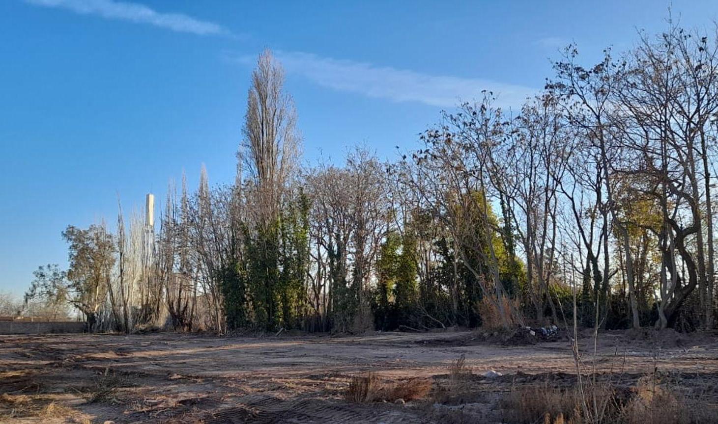 Foto de Venta Lote, Calle Zapiola, Luján de Cuyo, imagen 4