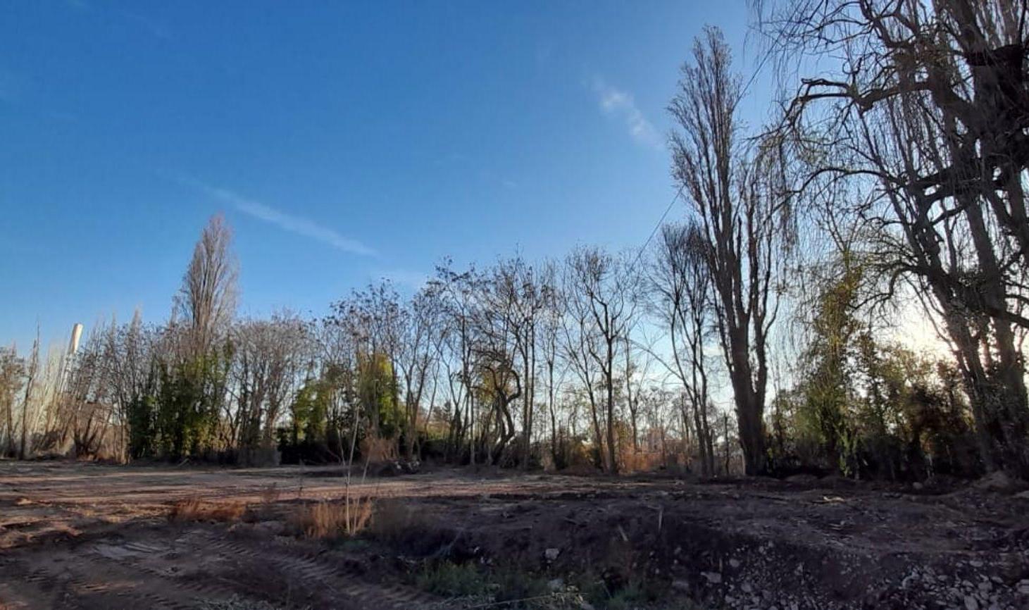 Foto de Venta Lote, Calle Zapiola, Luján de Cuyo, imagen 1