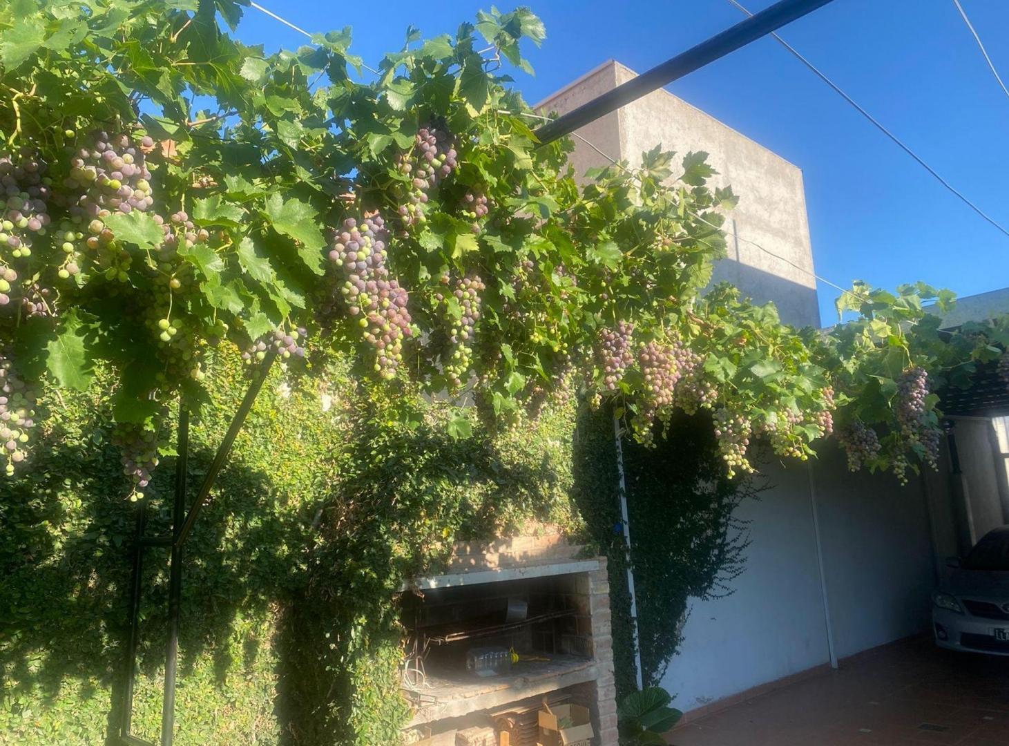 Foto de Casa en Venta B° Furlotti. Gran Oportunidad!, imagen 2