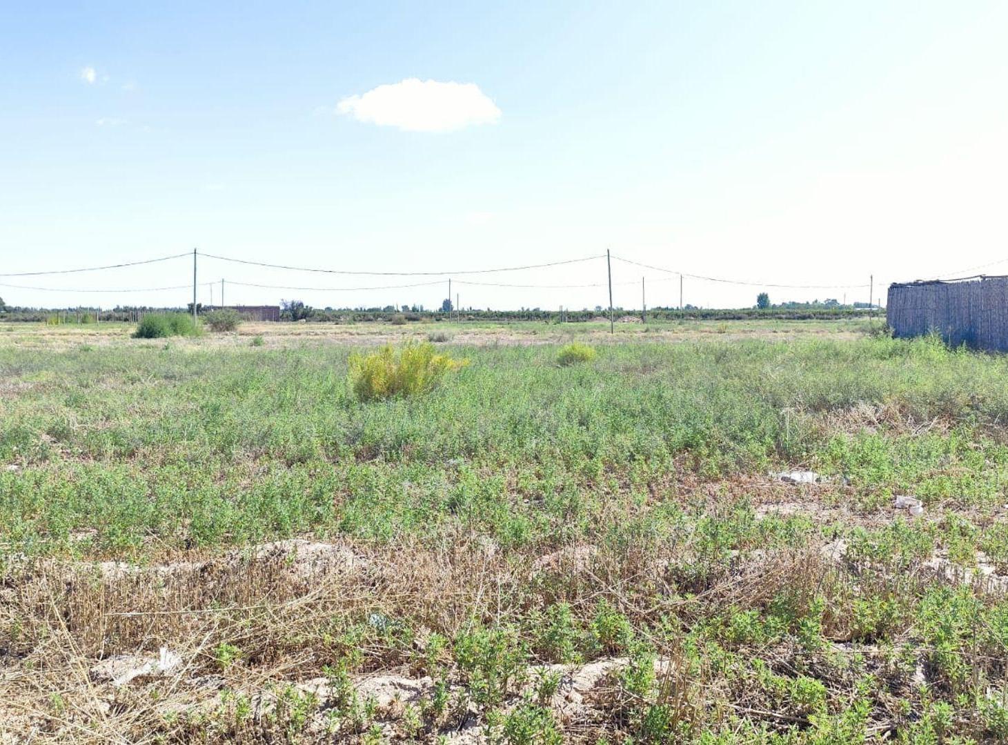 Foto de Lote en Tierras de Trapani, imagen 1