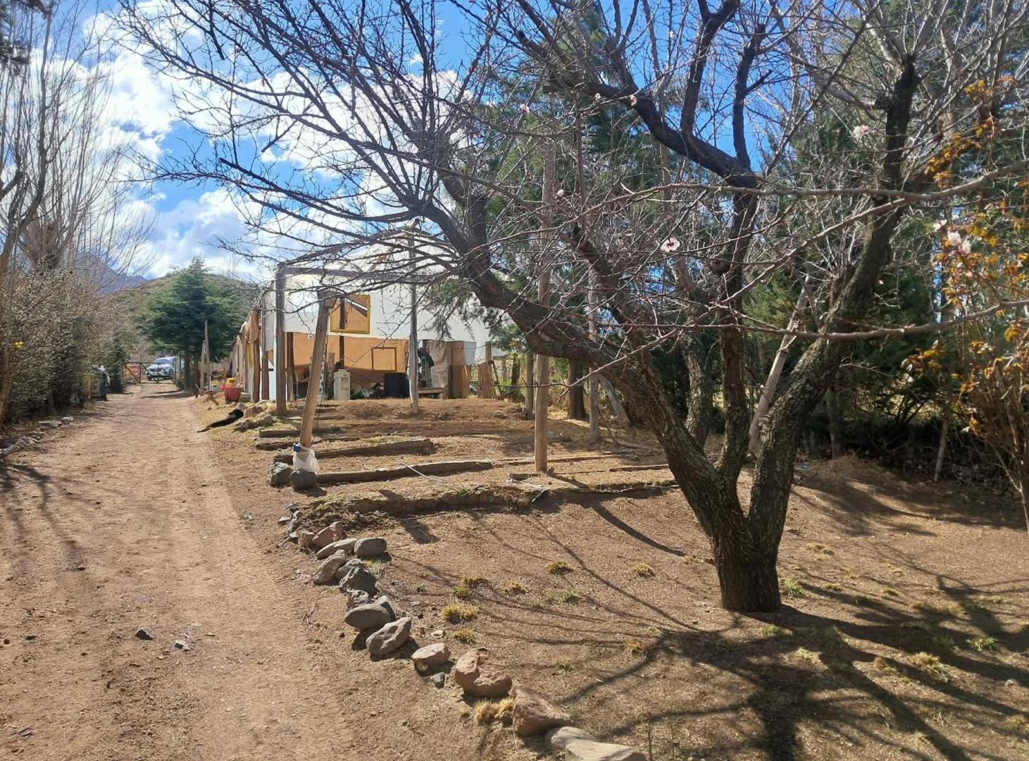 Foto de VENTA TERRENO DE 2.000 M2 CON 2 CASAS- BLANCO ENCA, imagen 3