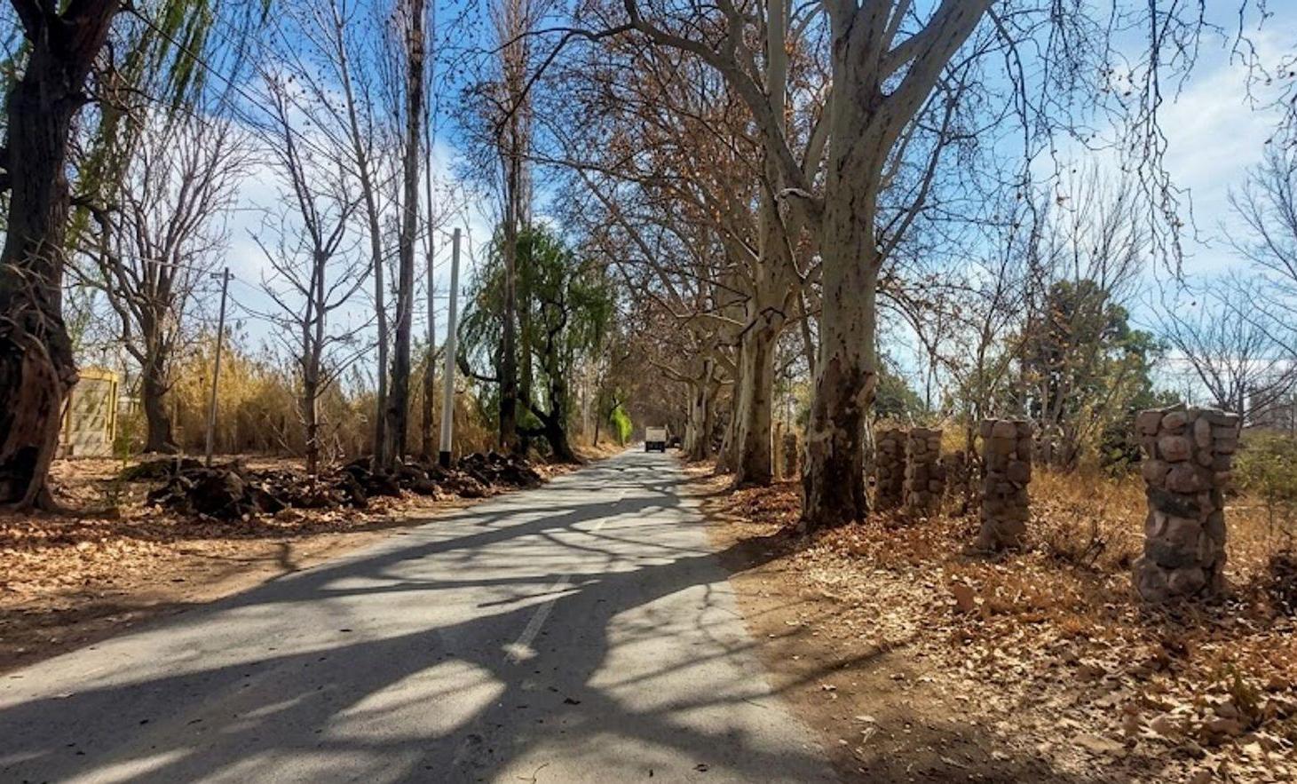 Foto de VENTA DE TERRENO 1.557 M2 EN TERRADA Y RUTA 40, imagen 3