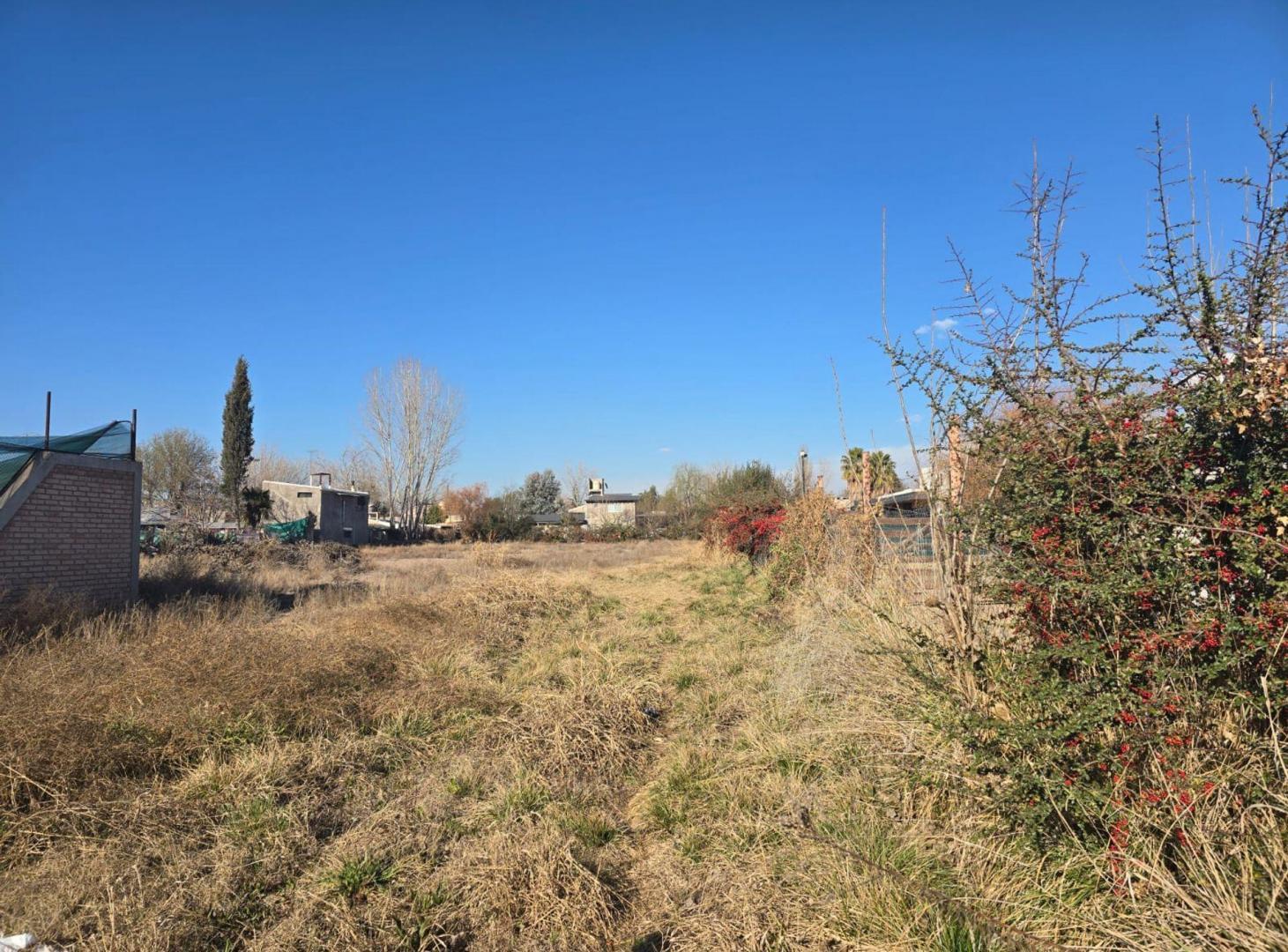 Foto de ALQUILER DE TERRENO EN VISTALBA 3300 M2, imagen 3