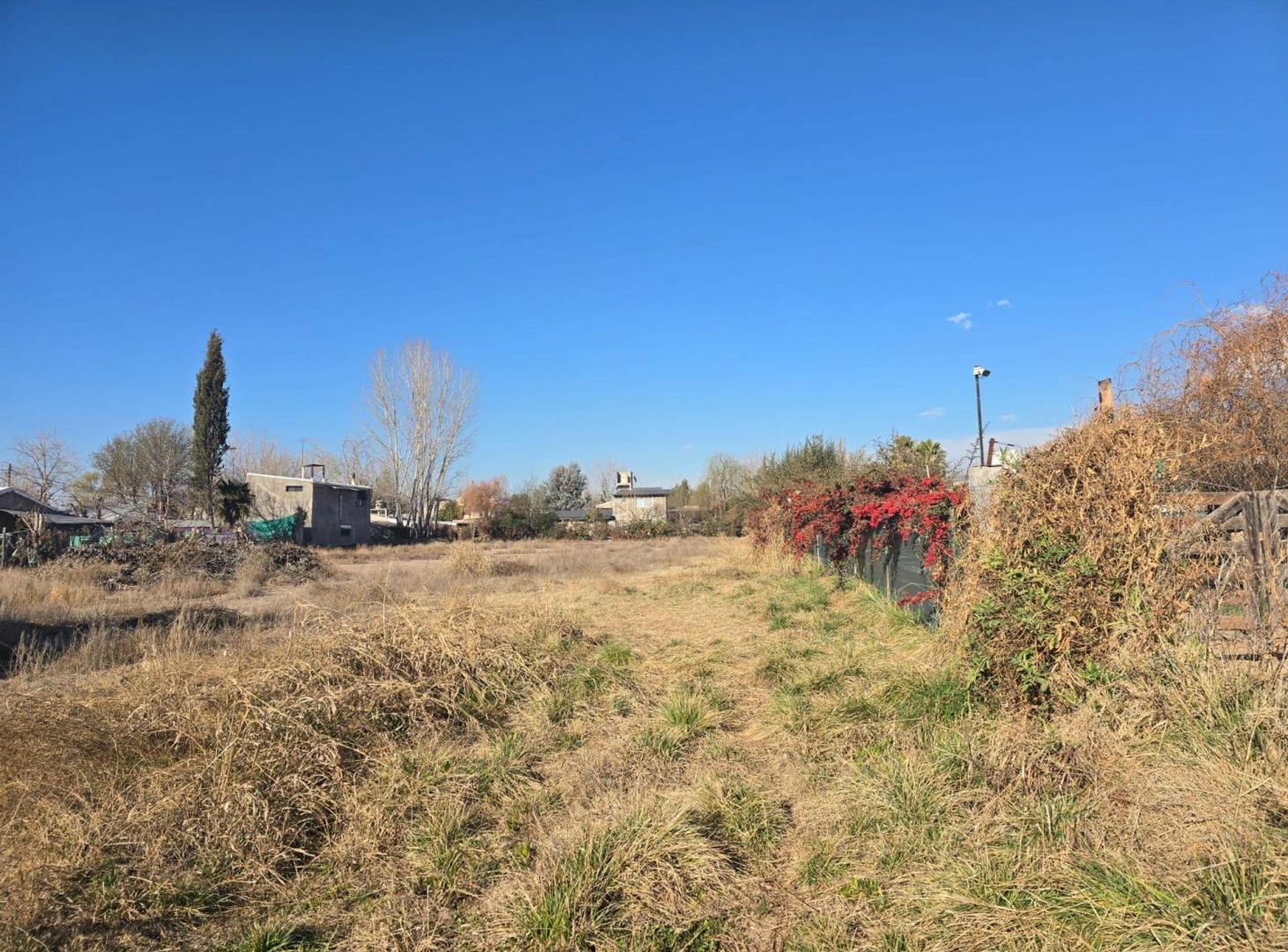 Foto de ALQUILER DE TERRENO EN VISTALBA 3300 M2, imagen 2