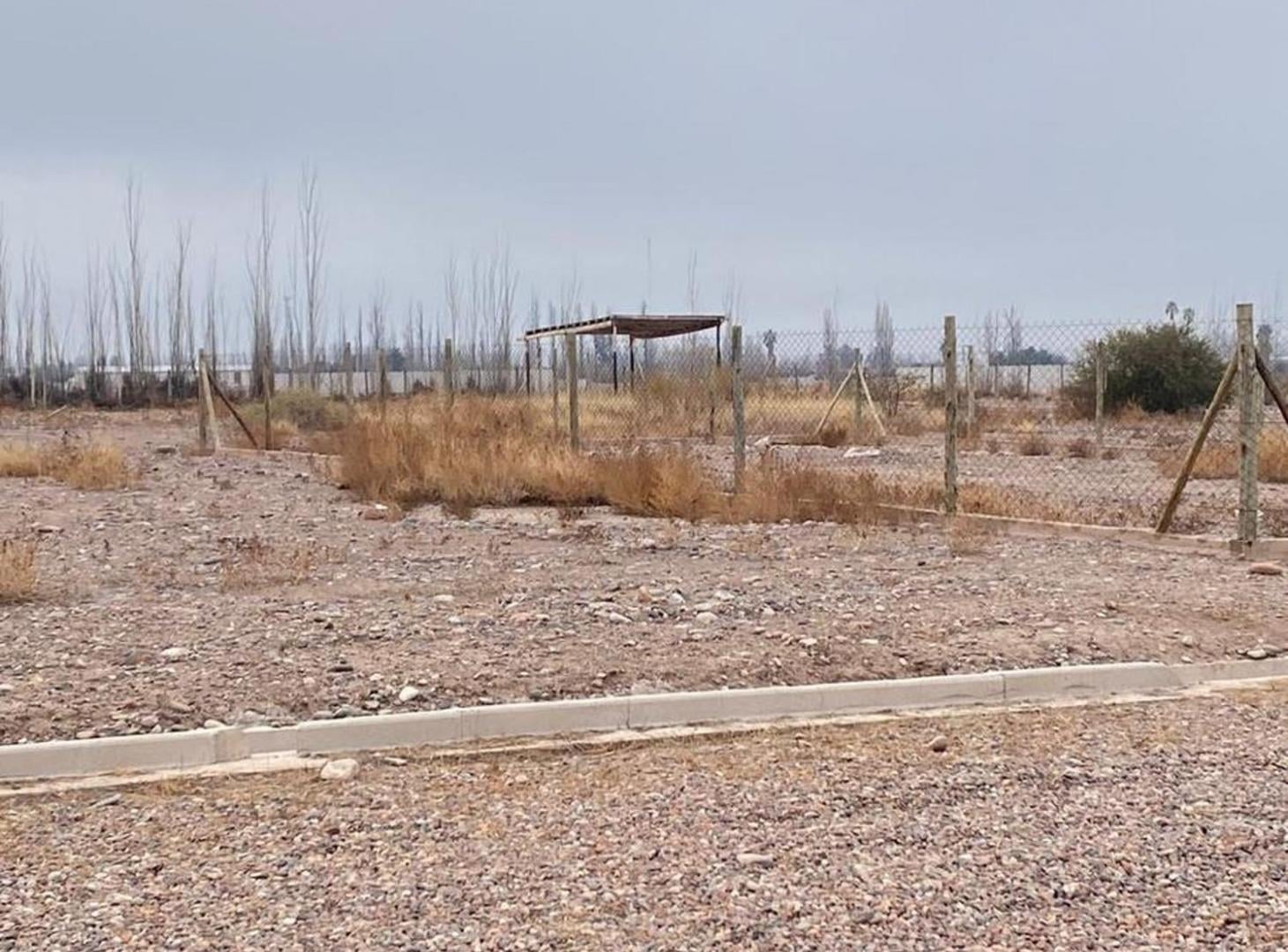 Foto de Lote Barrio Solares de Brandsen II, imagen 4