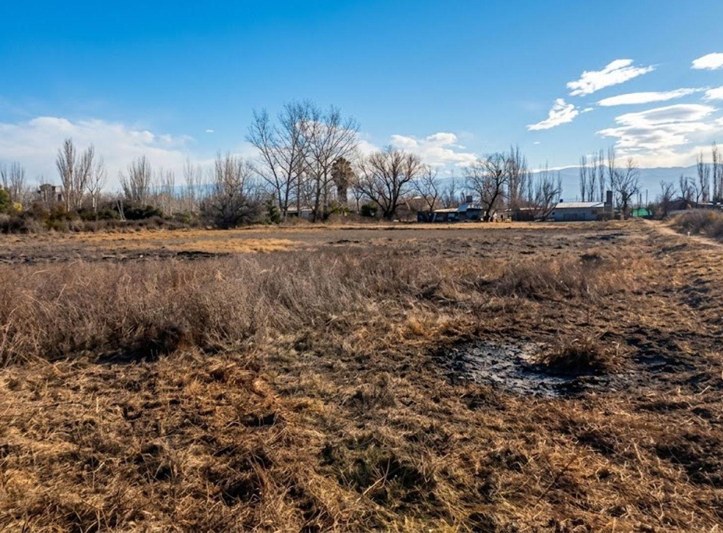 Foto de Exclusivo Terreno de 4.000 m². Guaymallén, imagen 2