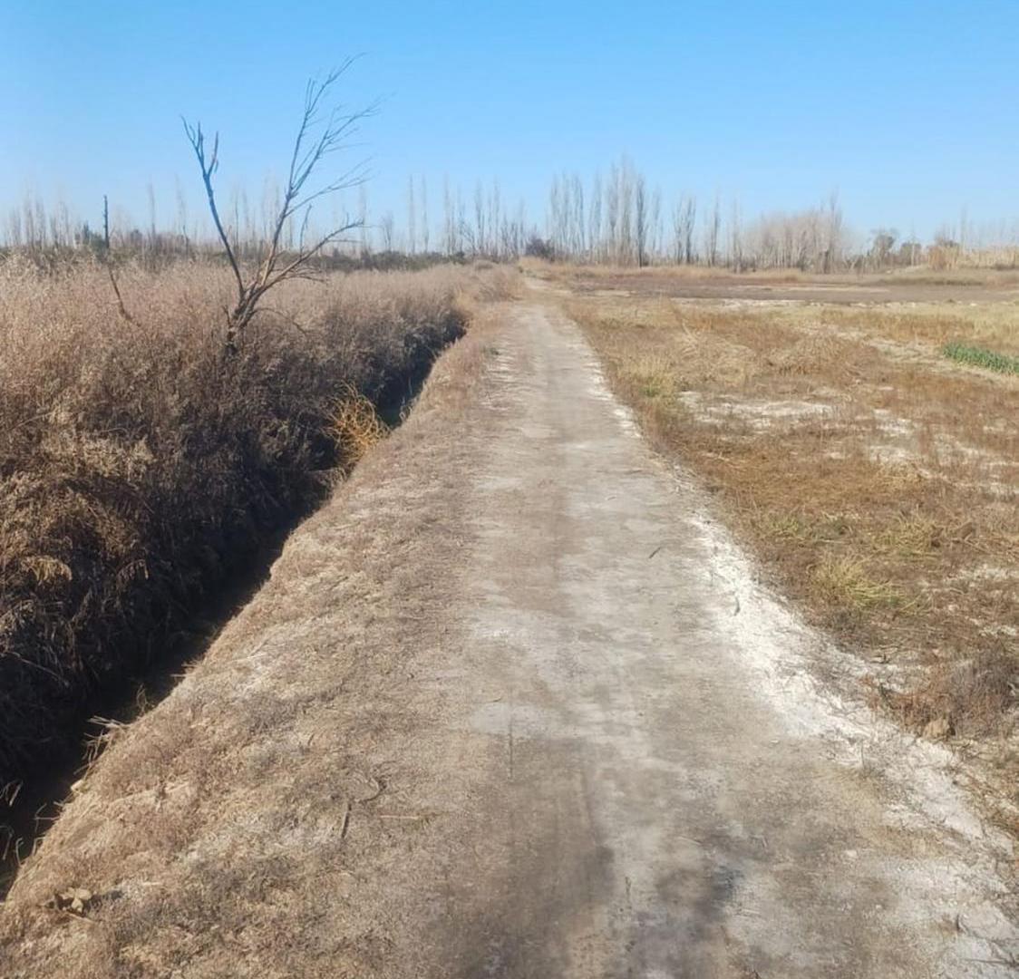 Foto de Exclusivo Terreno de 4.000 m². Guaymallén, imagen 5