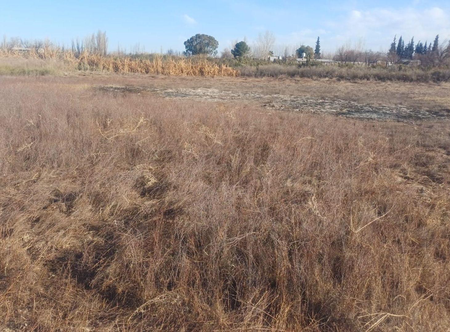 Foto de Exclusivo Terreno de 4.000 m². Guaymallén, imagen 4