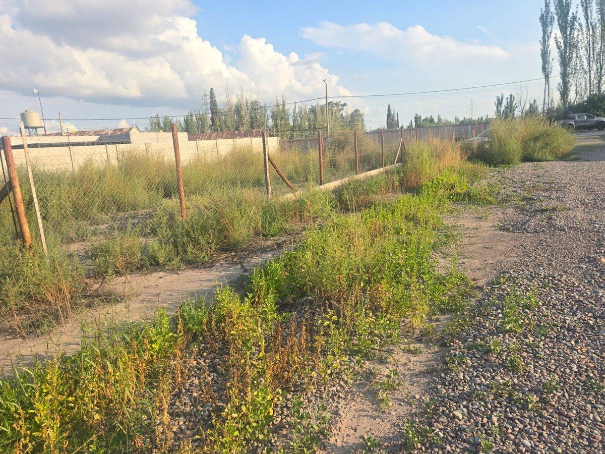 Foto de la propiedad en Pincolini S/n 0, Vistalba, Mendoza