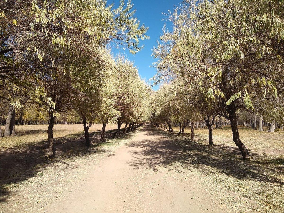 Foto de Venta de Lote en Uspallata 2000 mt Barrio Privado, imagen 5