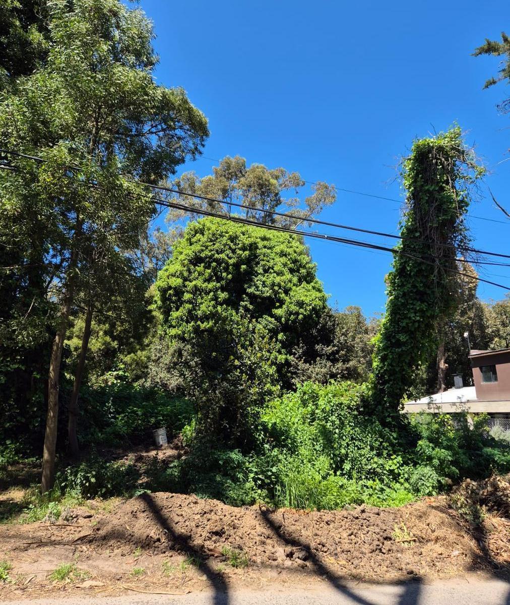 Terreno en Bosque Peralta Ramos