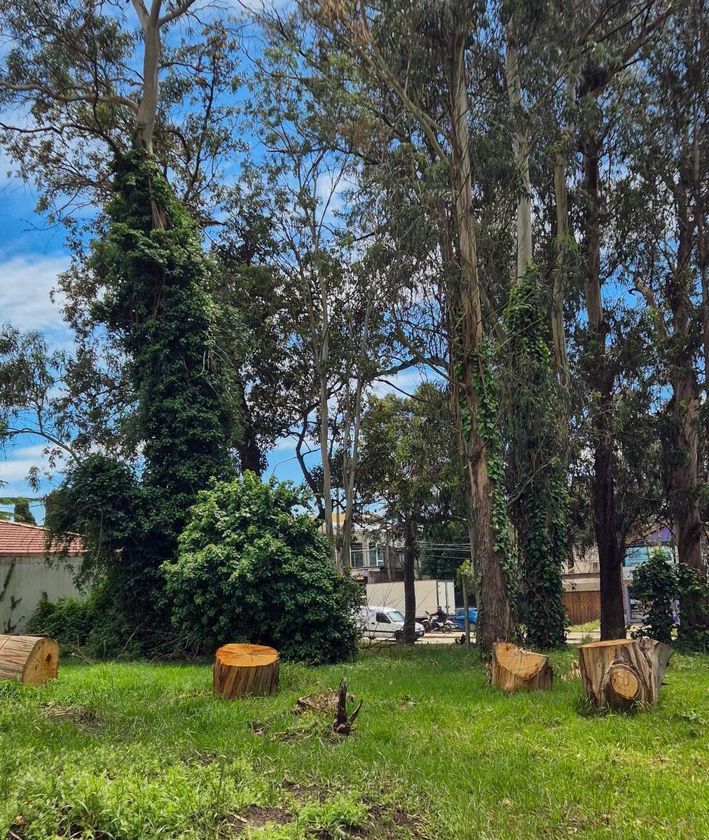 Terreno en Bosque Peralta Ramos