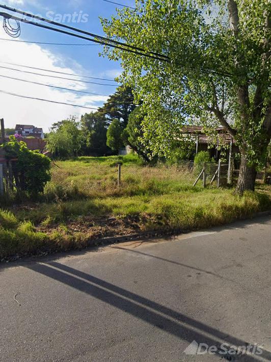 Terreno en Punta Mogotes