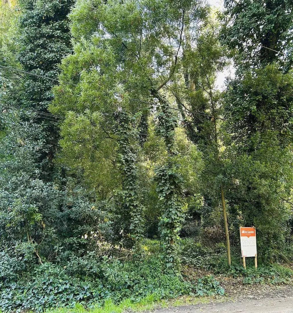 Casa en Bosque Peralta Ramos 3