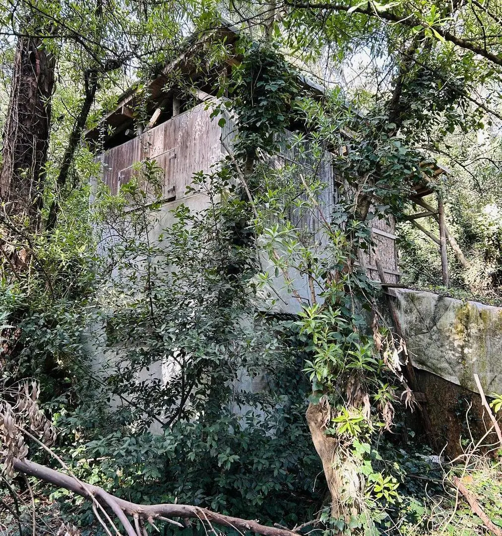 Casa en Bosque Peralta Ramos 2
