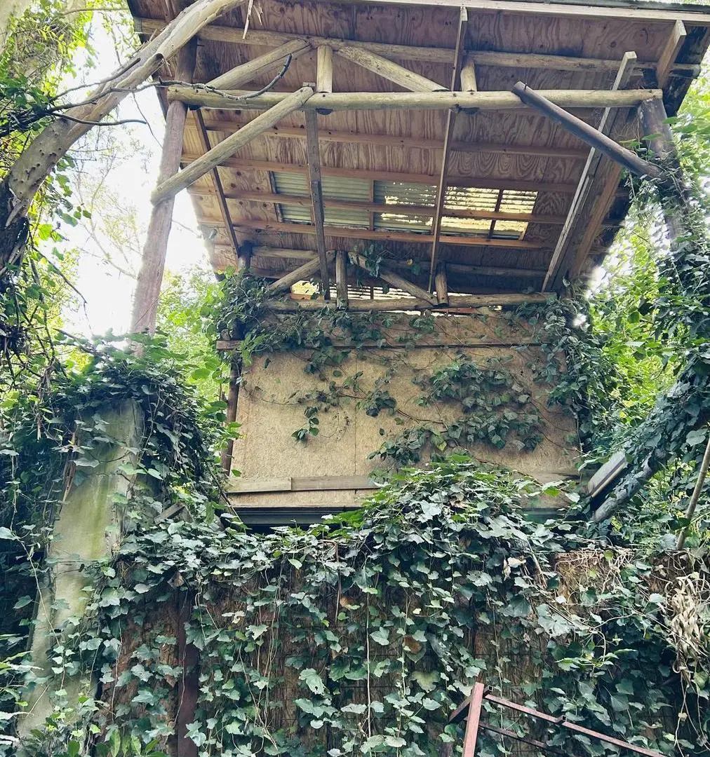 Casa en Bosque Peralta Ramos 5