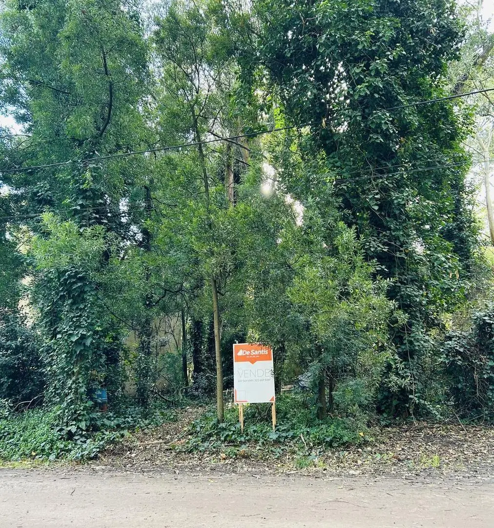 Casa en Bosque Peralta Ramos 8