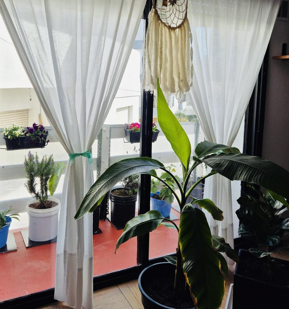Foto de Departamento - P.Mogotes, imagen 2
