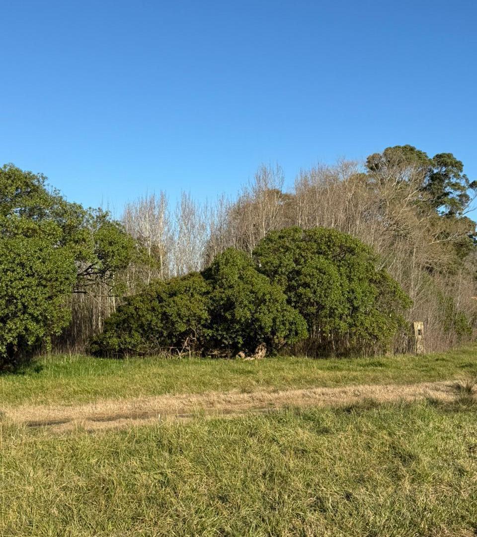 Foto de Terreno de 1105 mts en Chapadmalal, imagen 1