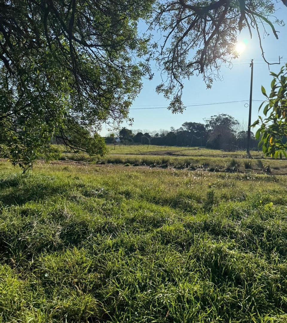 Foto de Terreno de 1105 mts en Chapadmalal, imagen 2