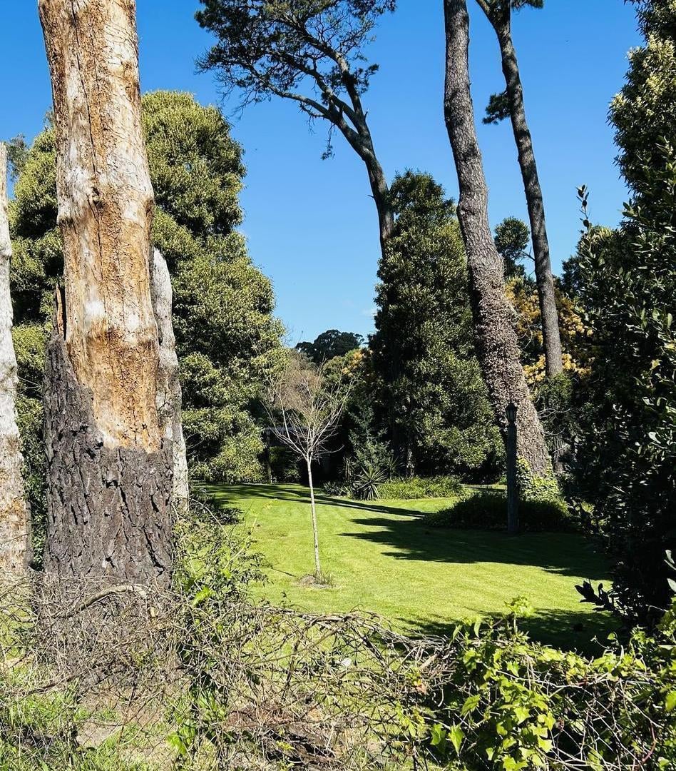 Foto de Lote en Bosque Peralta Ramos – opción de sumar lote lindero, imagen 3