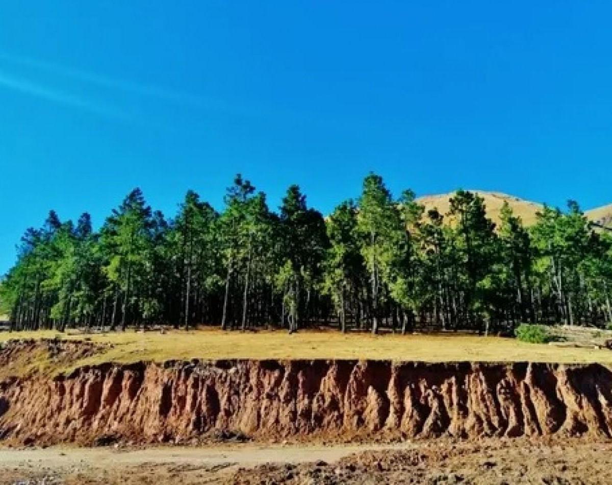 Venta Lote Pinar de Los Ciervos 4