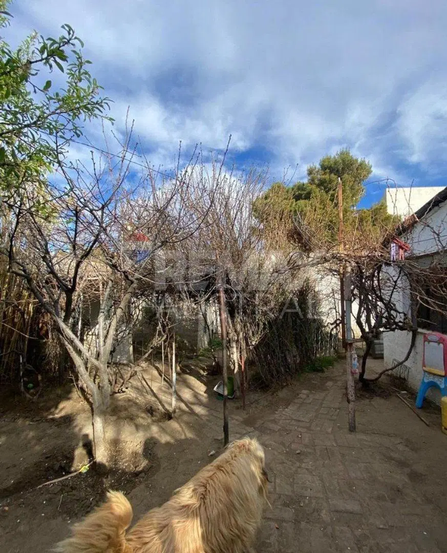 VENTA CASA 2 DORMITORIOS A MTS DE JUAN JOSE PASO 5