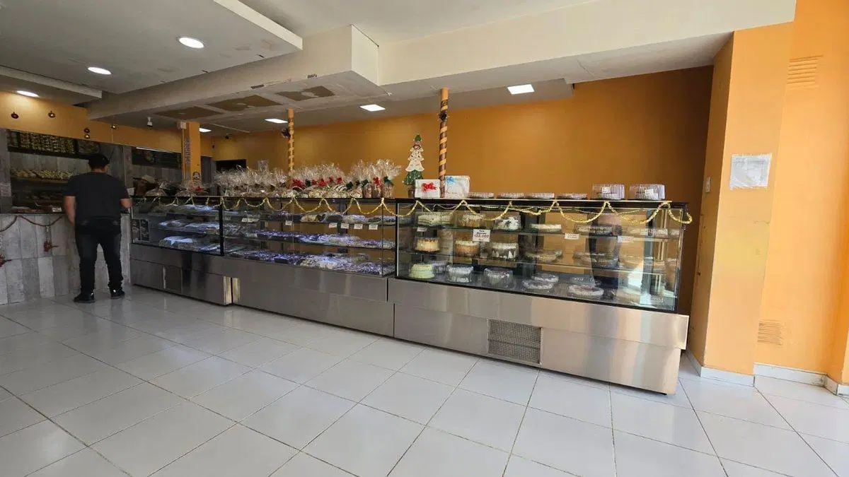 2 LOCALES EN AVENIDA 2