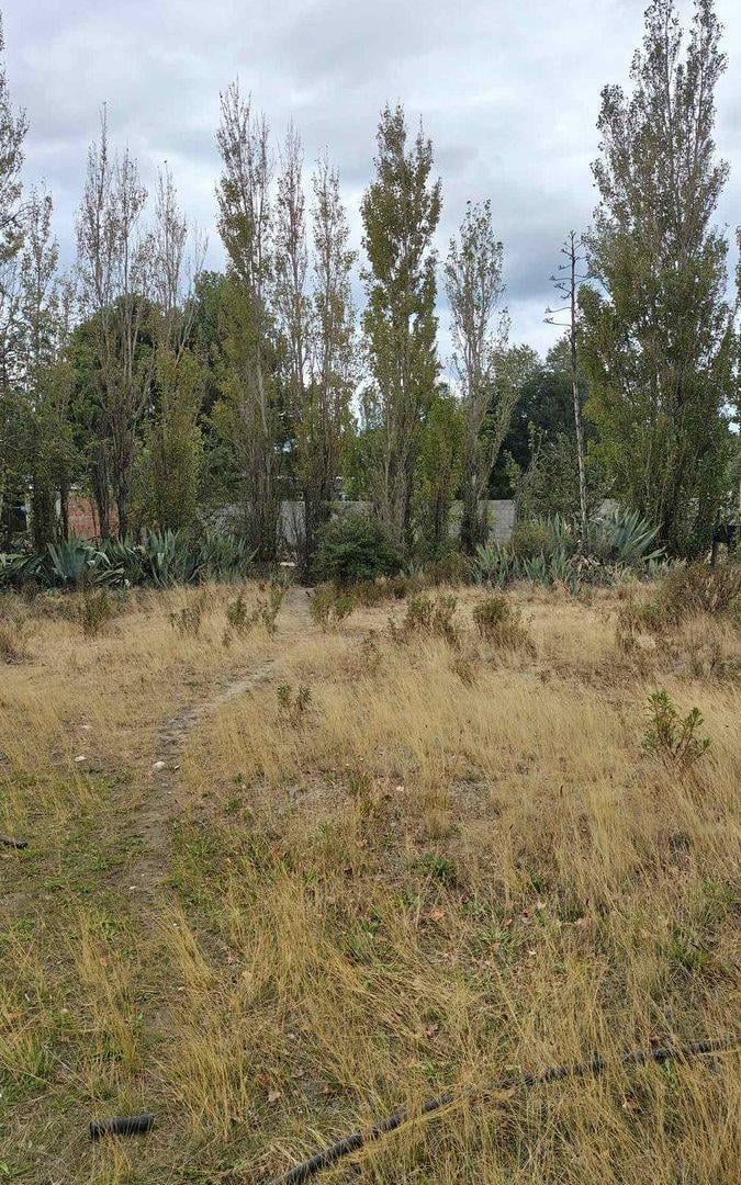 Terreno forestado. Cord. Forest. Venta 5653,16 m2