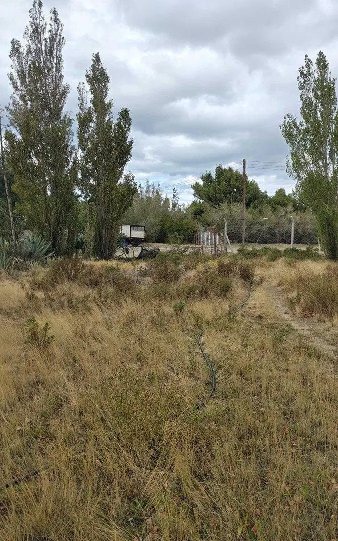 Terreno forestado. Cord. Forest. Venta 5653,16 m2 2