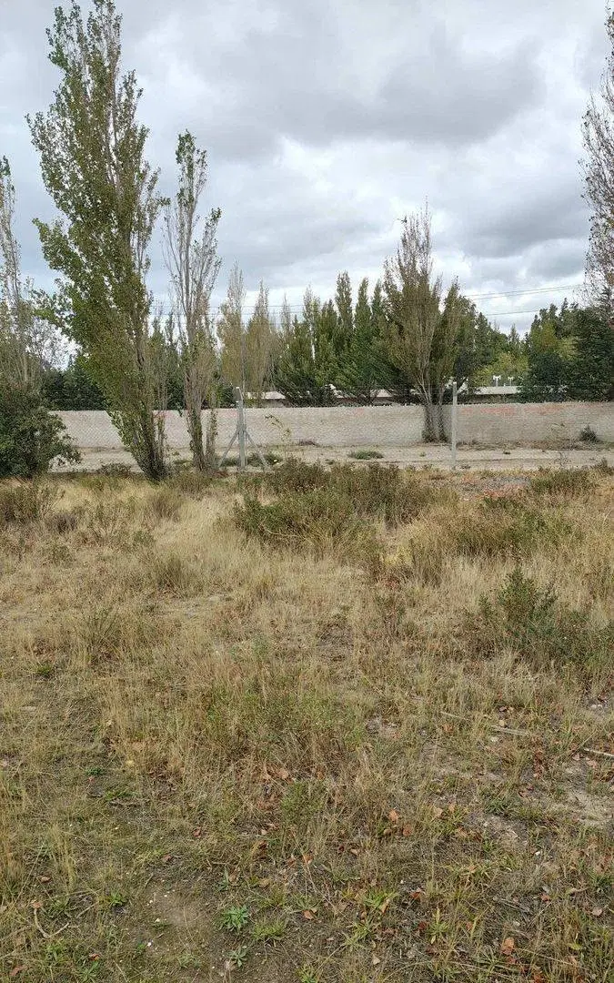 Terreno forestado. Cord. Forest. Venta 5653,16 m2 5