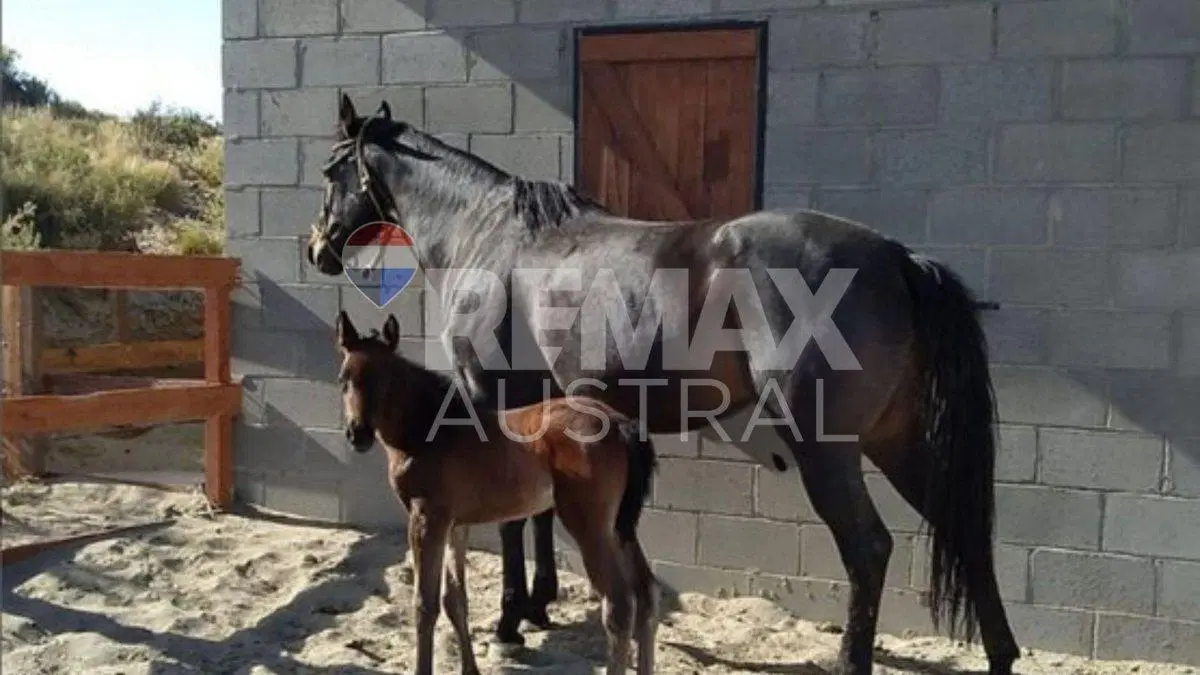 LOTE CHACRAS DEL FARO 3