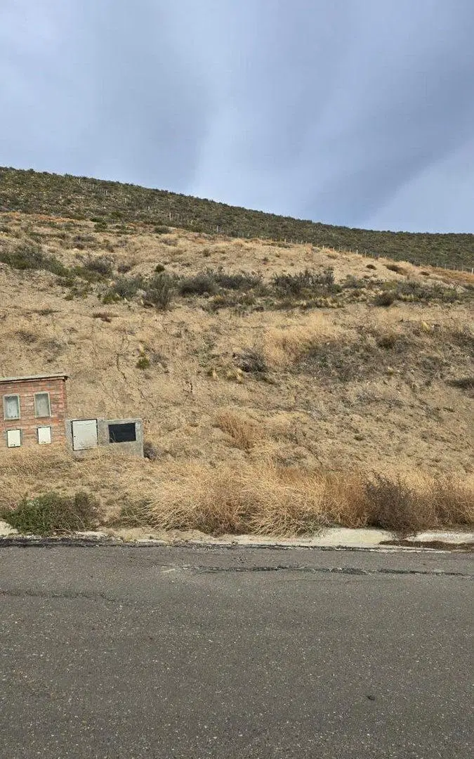 TERRENO / LA COLINA R. TILLY 5