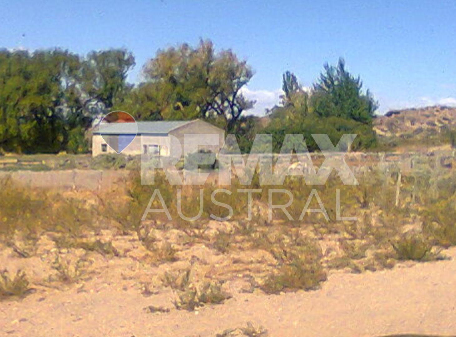 ESTANCIA CAÑADÓN CARBÓN – 59.000 HECTÁREAS