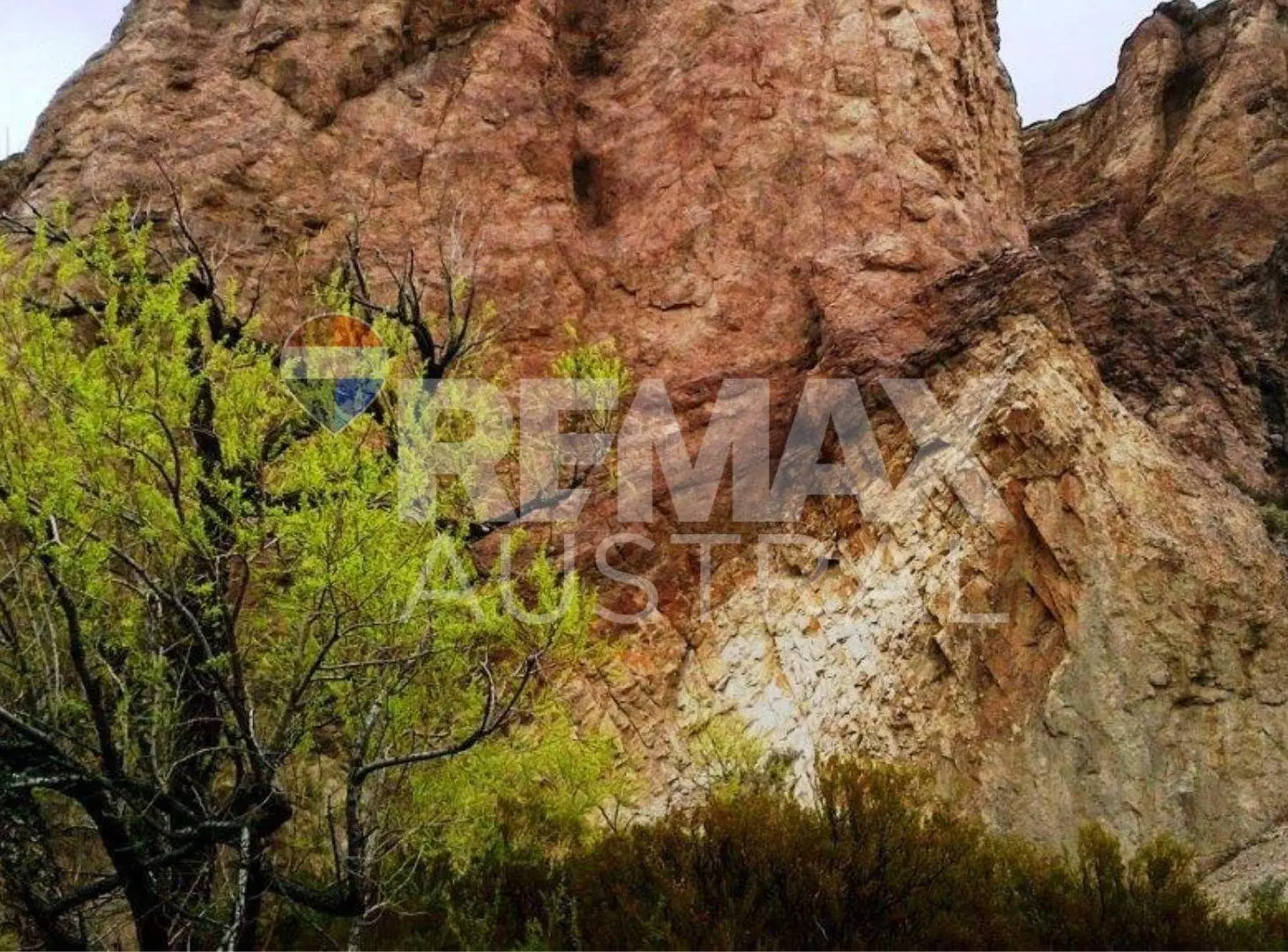 ESTANCIA CAÑADÓN CARBÓN – 59.000 HECTÁREAS 3