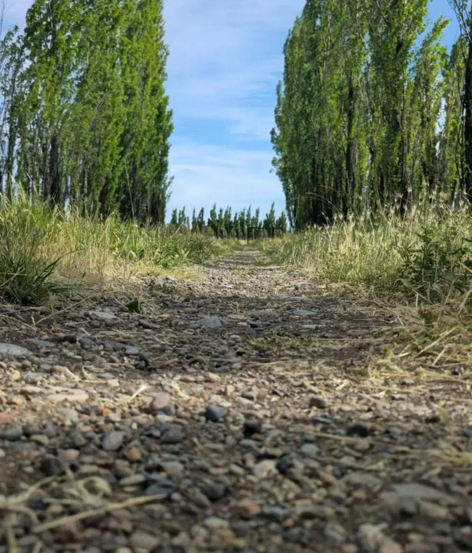 VENTA CHACRA CON CASA EN SARMIENTO 5
