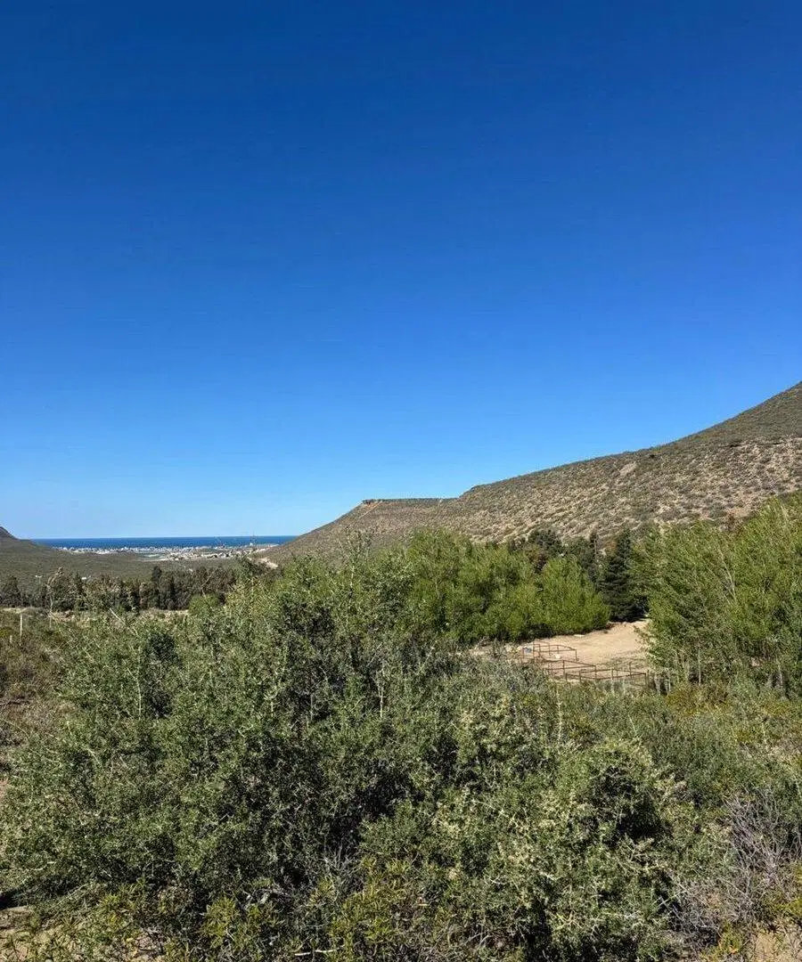 LOTE | TERRENO ZONA SUR RADA TILLY 4