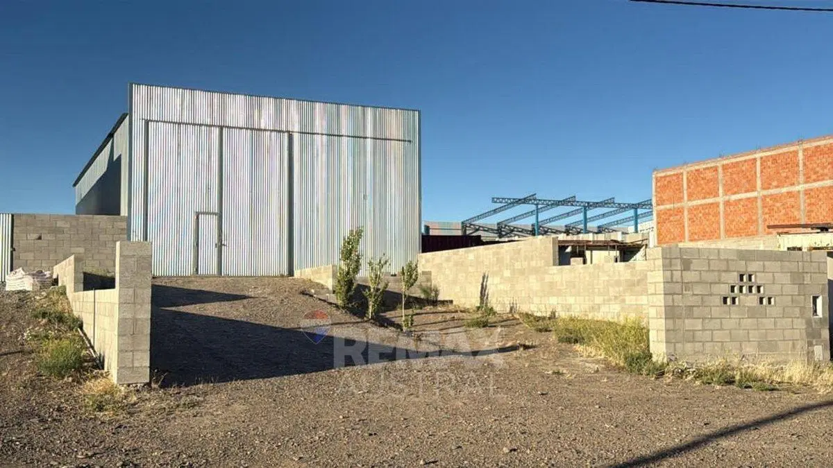 DOS GALPONES BARRIO INDUSTRIAL 8