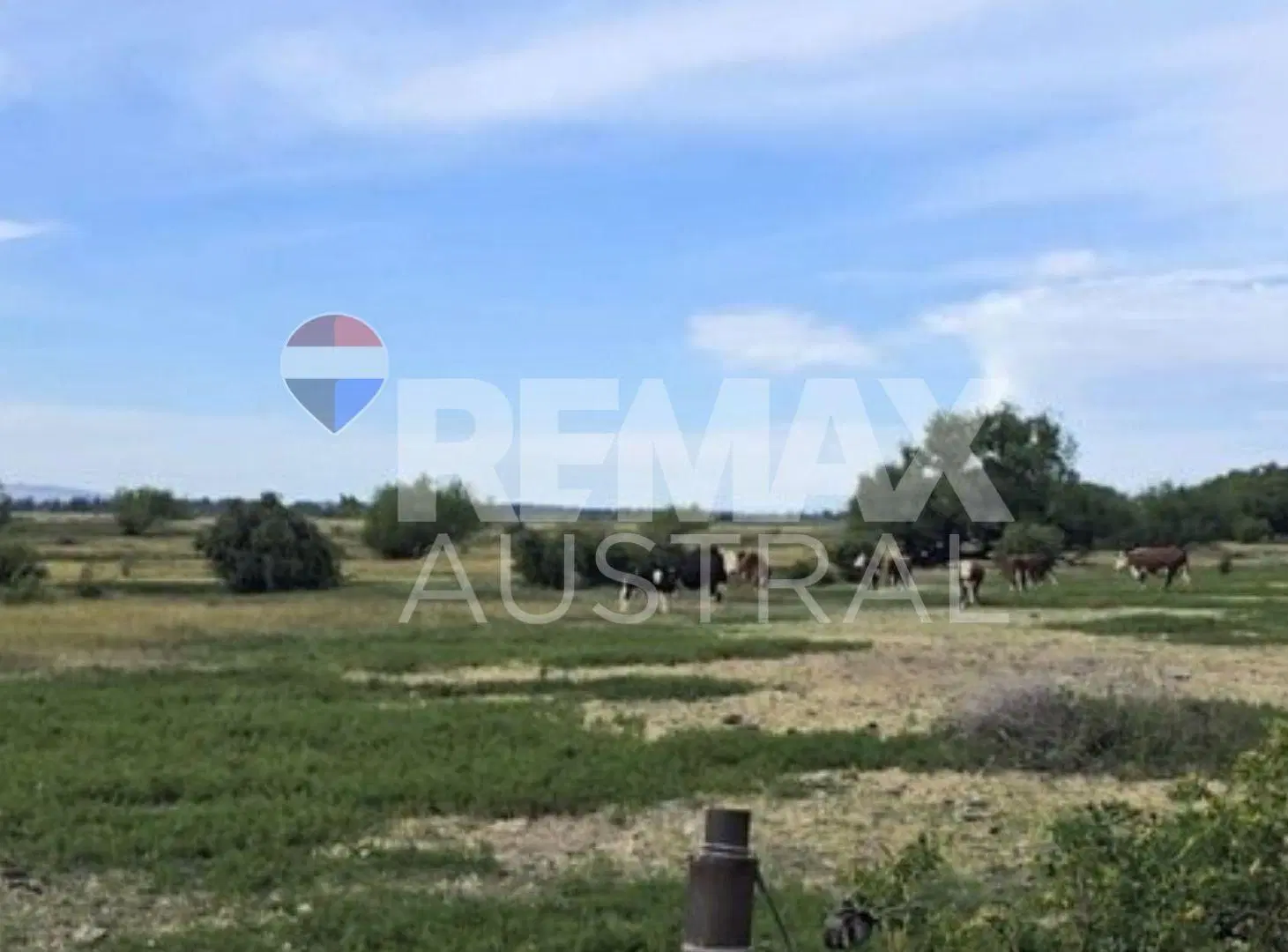 VENTA CHACRA CON CASA EN SARMIENTO 8