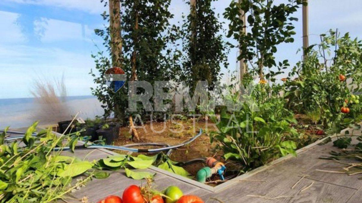 Foto de LOTE CHACRAS DEL FARO, imagen 3