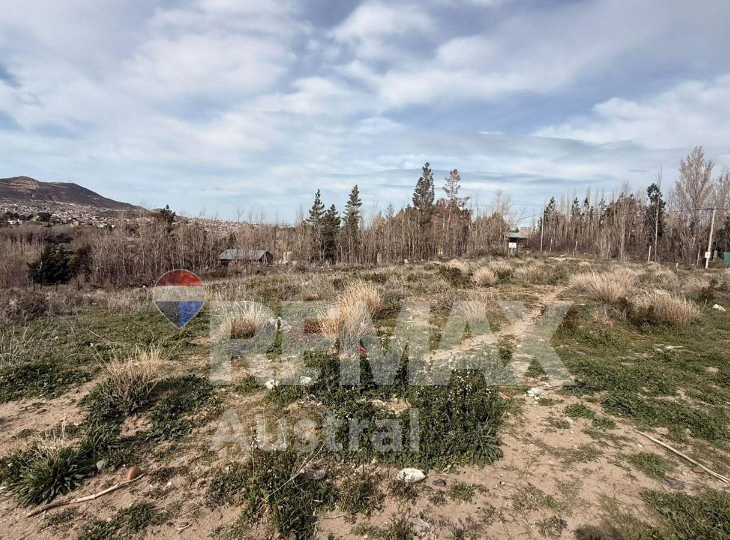 Foto de TERRENO 2500M2. BARRIO TRES PINOS, imagen 2