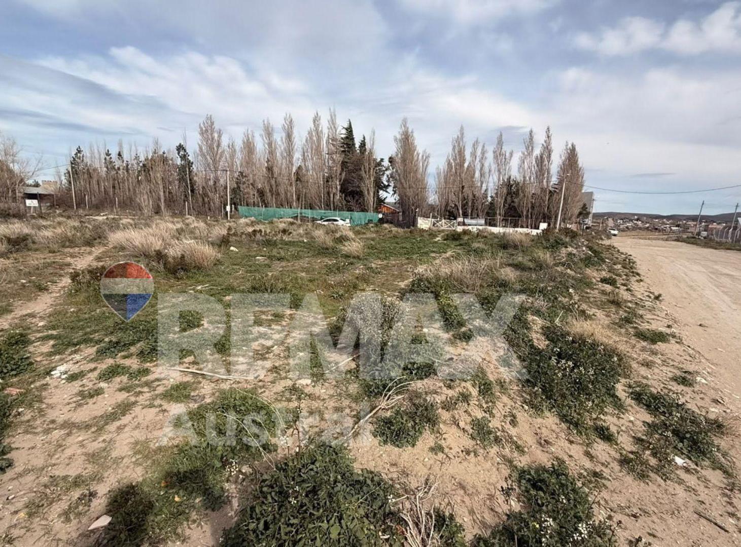 Foto de TERRENO 2500M2. BARRIO TRES PINOS, imagen 4