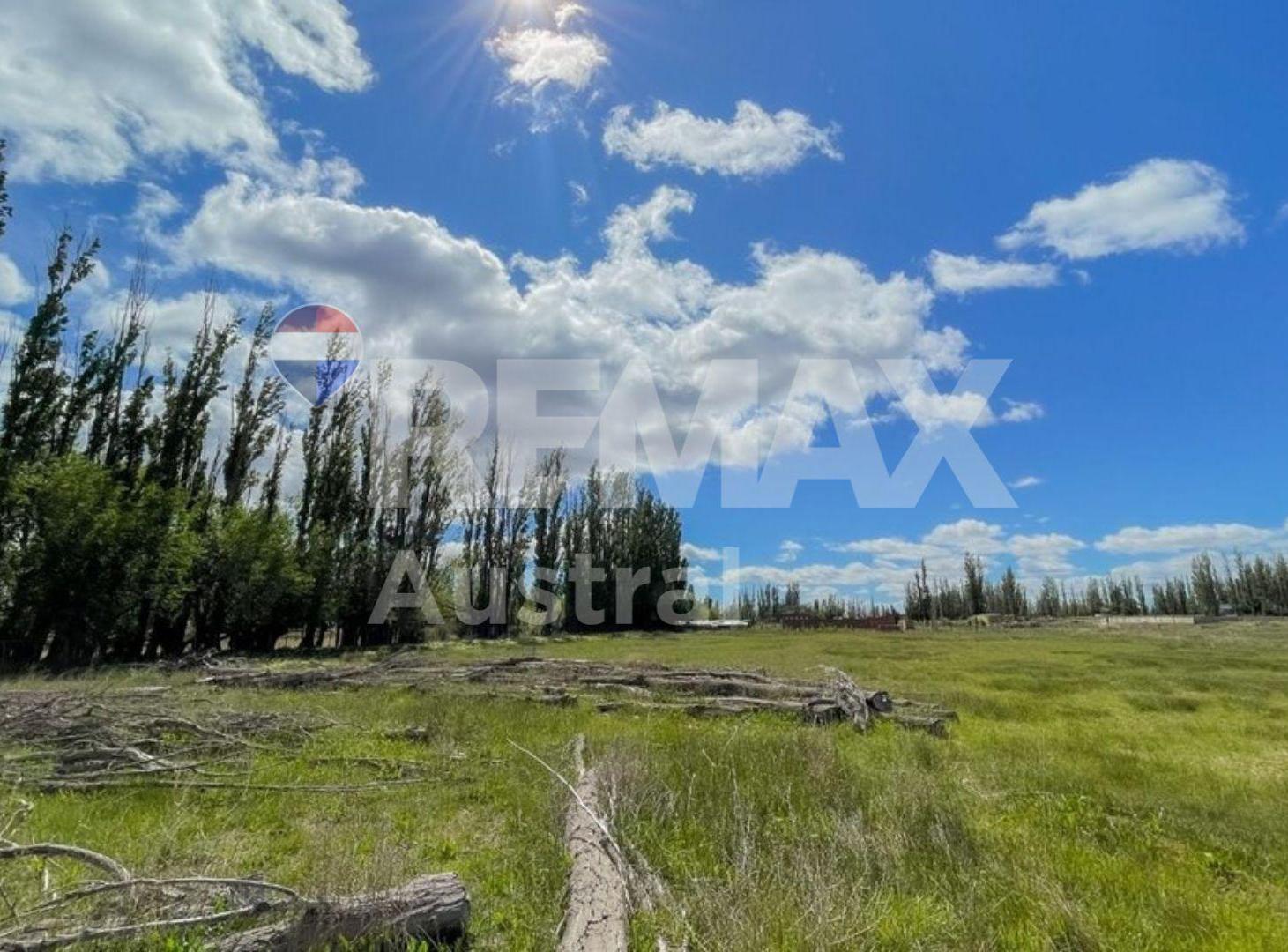Foto de VENTA CHACRA DE CASI 3 HECTAREAS EN SARMIENTO, imagen 3