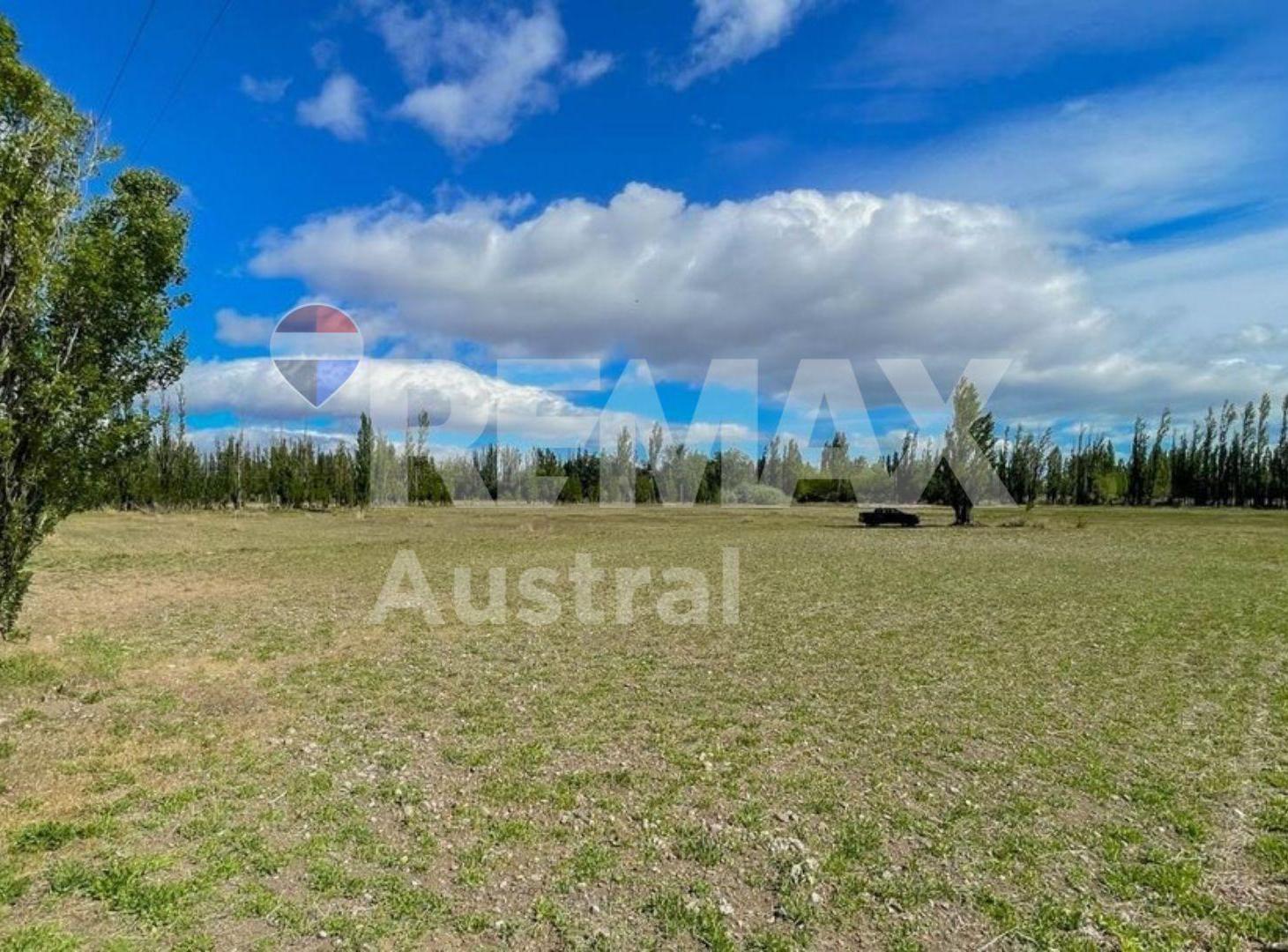 Foto de VENTA CHACRA DE CASI 3 HECTAREAS EN SARMIENTO, imagen 1