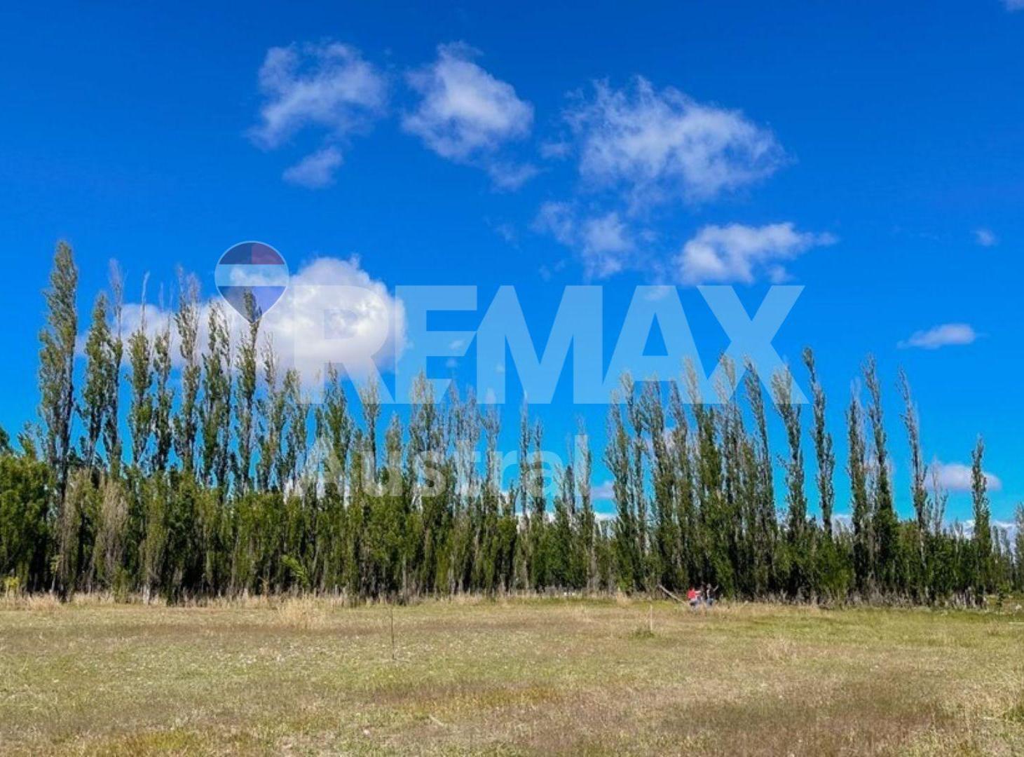Foto de VENTA CHACRA DE CASI 3 HECTAREAS EN SARMIENTO, imagen 4