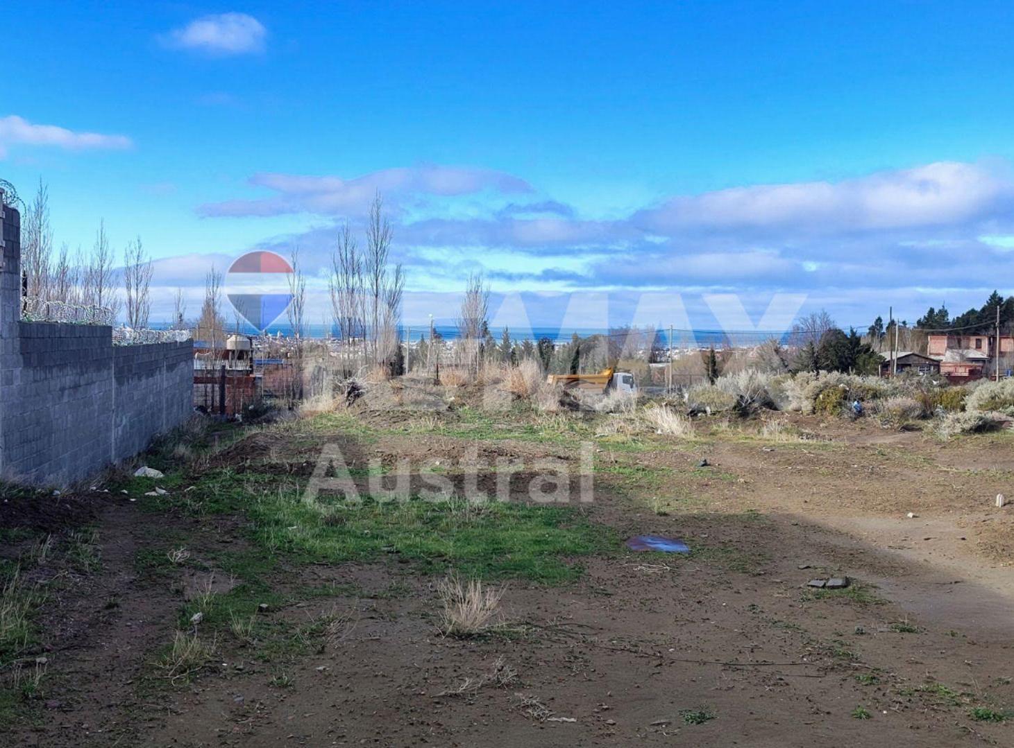 Foto de EN VENTA LOTE CORDON FORESTAL, imagen 2
