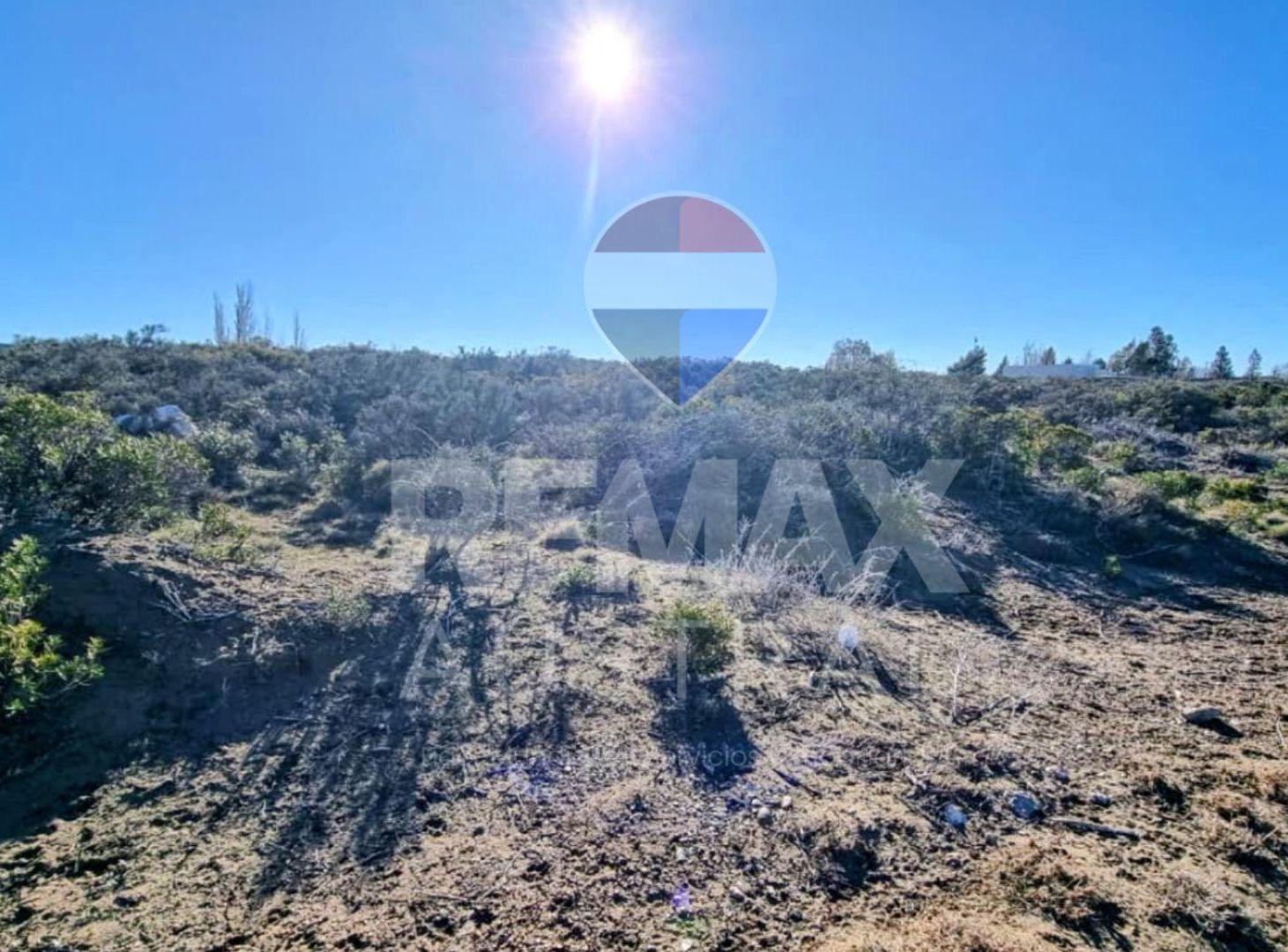 Foto de TERRENO EN BELLA VISTA SUR, imagen 3